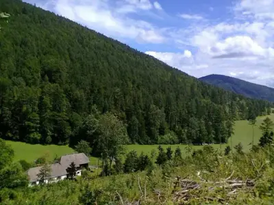 Kunstarbeit-Hof Thannhausen bei Weiz Nähe Graz – Bild 2