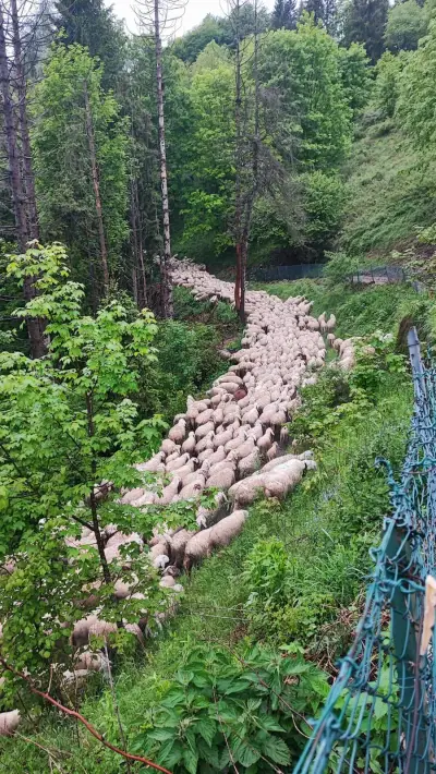 „Gipfelglück“: Handpacken & Durchatmen am Monte Grappa 🏔 – Bild 3