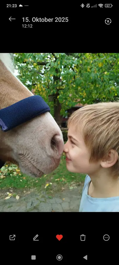 Chris, *Obstbaumschnitt*Kinderbetreuung*Tierpflege*Hundesit – Bild 5