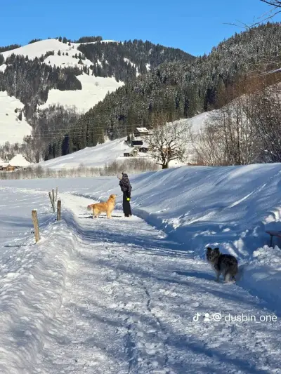 Matthias – photo 5