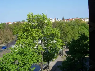 Berlin zentral: Hausarbeit, ggf. IT, Büro, Pflanzen – Bild 5