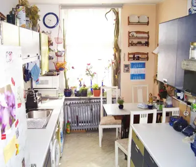 Berlin zentral: Hausarbeit, ggf. IT, Büro, Pflanzen – Bild 4