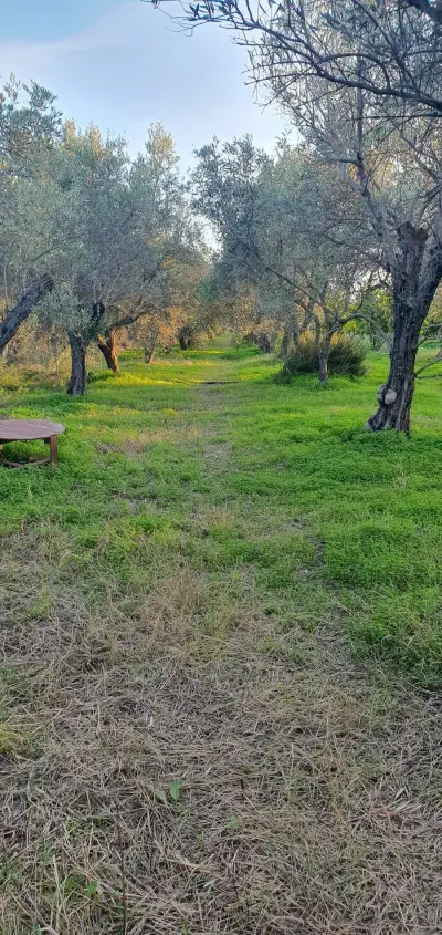 Ökofarm in Calabrien am Meer- Mitarbeit-Housesitting – Bild 4