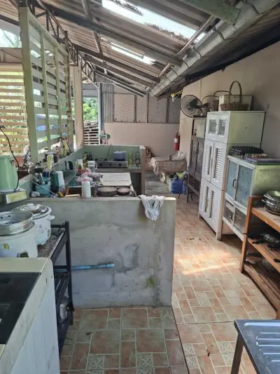 Bio Farm nahe Chanthaburi / Thailand – Bild 2