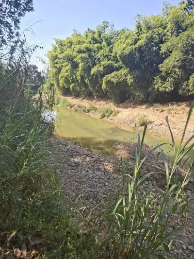 Bio Farm nahe Chanthaburi / Thailand – Bild 6
