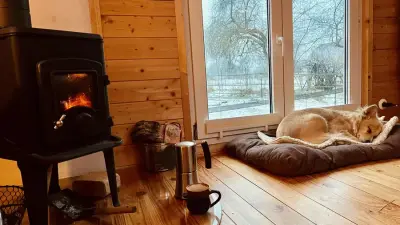 Pony-Betreuung und Urlaub im Bauwagen – Bild 6
