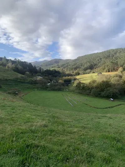Volunteer auf Reg. Bauernhof & Bildungsinstitut (Asturien) – Bild 3