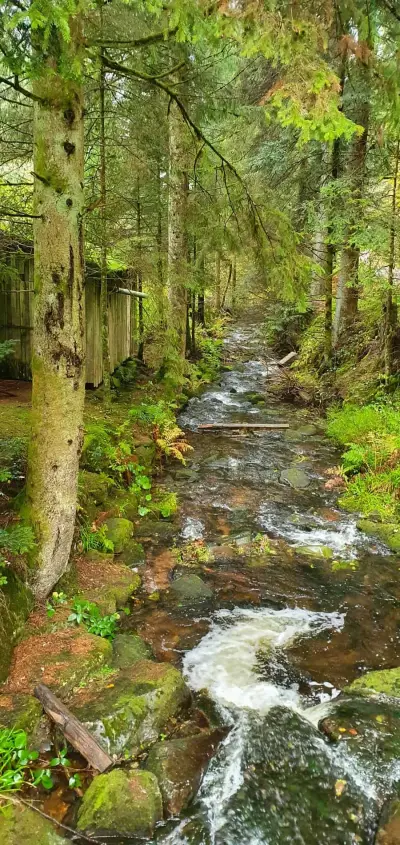 Urlaub auf dem Sterntalerhof – Bild 2