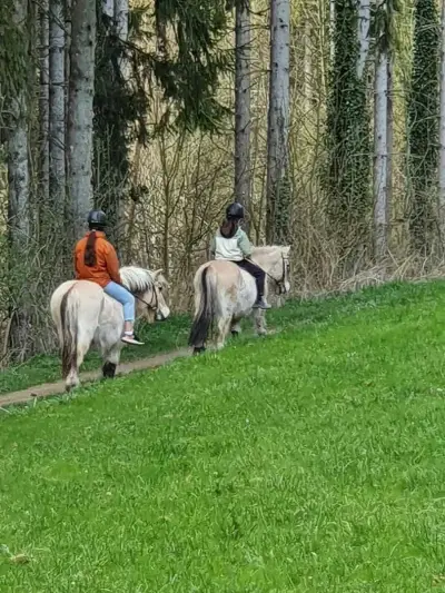 Urlaub auf dem Sterntalerhof – Bild 4