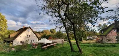 Urlaub gegen Hilfe in Schmacht, Nähe Binz auf Rügen – Bild 4