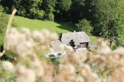 Forsthaus-Urlaub gegen Malerarbeiten – Bild 3