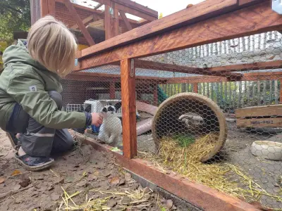 Ferienwohnung mit 2 Kaninchen in Senne – Bild 4