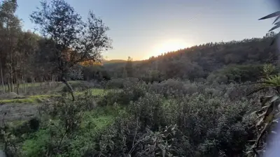 Off-grid Paradise, camp in nature, eco-building & living – Bild 2