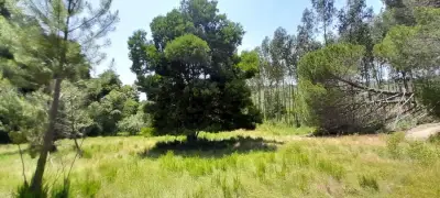 Off-grid Paradise, camp in nature, eco-building & living – Bild 4