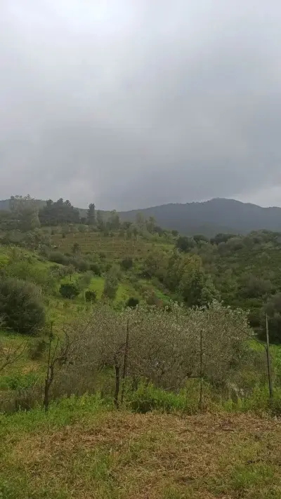 Sardinien/Italien - Handwerk mit Holz:Holzterasse für Jurte – Bild 5