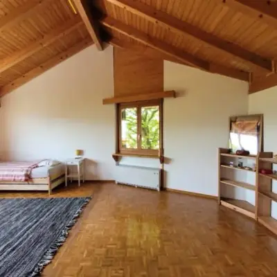 Beautiful lake house stay in Switzerland - We are looking for an experienced catsitter and allrounder help – Bild 8