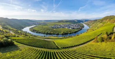 Stay with a Local Mum & Explore the Beautiful Moselle  – Bild 7