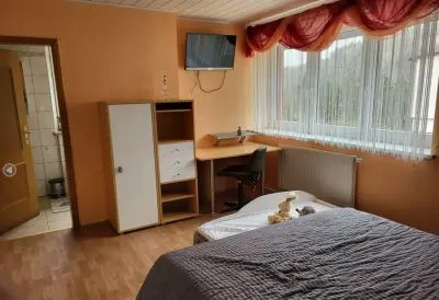 Mithilfe auf privatem Gnadenhof in Oberfranken – Bild 5