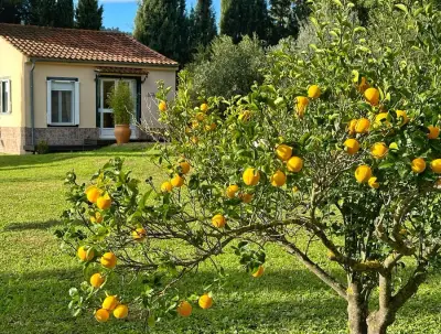 Kleine Finca mit Ferienvermietung in Andalusien – Bild 7