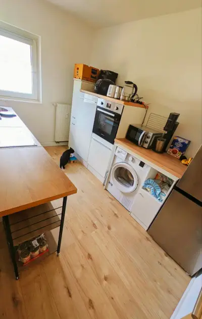 Haus-/Katzensitter für Wohnung im Grünen gesucht – Bild 3