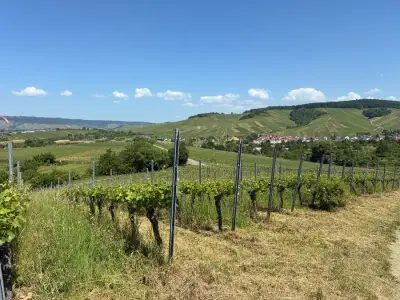 Wohlfühlen im schönen Remstal vor den Toren Stuttgart