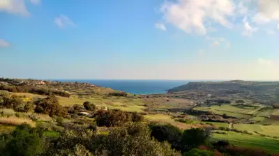Pferdefarm auf der Sonneninsel Gozo ( Malta ) – photo 6
