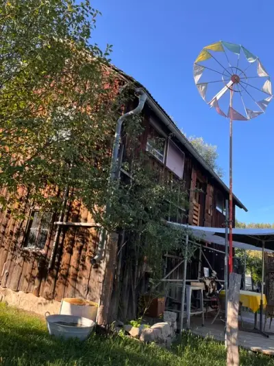 Kleiner Hof im Grünen – photo 4