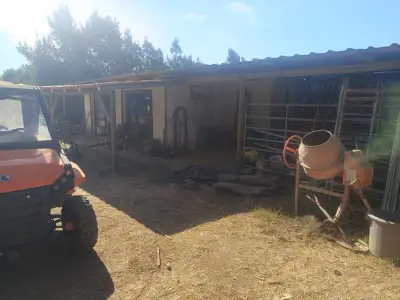 Pferdefarm – Bild 11