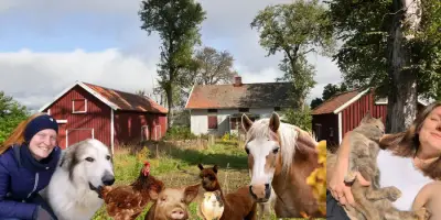 Wir helfen euch entspannt ins neue Jahr 🐾