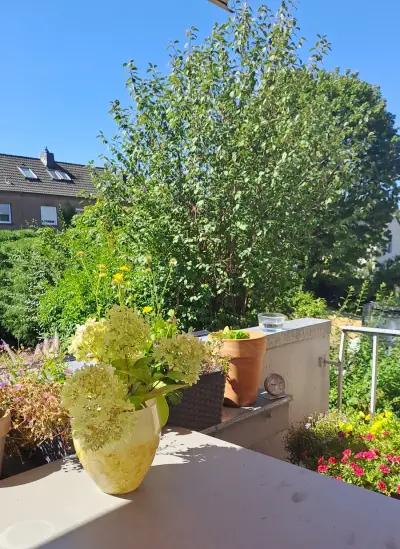 Cat and Flat Sitting in Aachen  – Bild 3