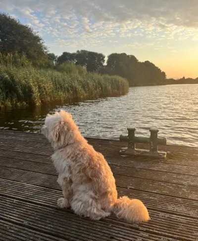 Klein Amsterdamm an der Nordsee – Bild 2