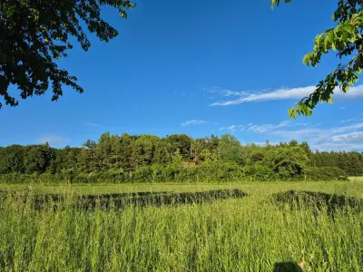 Stellplatz auf altem Hof in Alleinlage gegen handwerkliche Mithilfe – Oberpfalz/Bayern