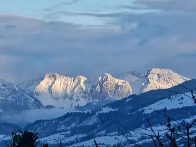 Beautiful lake house stay in Switzerland - We are looking for an experienced catsitter and allrounder help – Bild 10