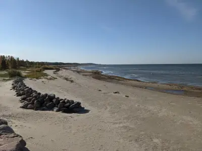 Natur, Wald, Meer an einem Ort – Bild 8