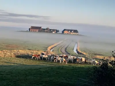 Bauernhof auf der Hallig Langeneß – Bild 3