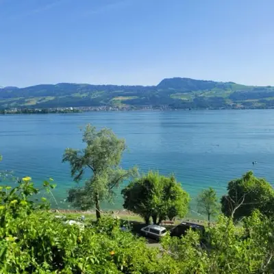Beautiful lake house stay in Switzerland - We are looking for an experienced catsitter and allrounder help