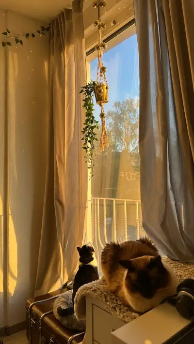 🐈🐈‍⬛🍁 Flauschige Herbstmomente in Essen – Bild 5
