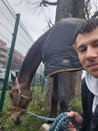 Zero-experience horse work