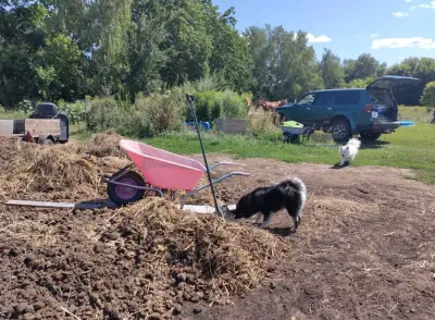 Villa Kunterbunt am See sucht Nilsson – photo 11