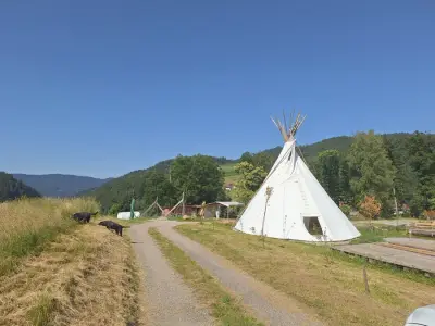 WildnisCamp Schwarzwald