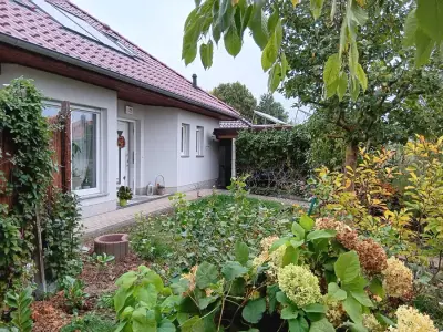  Berliner Umland 11.01.27 bis 02.02.27 , im Wohnbungalow mit Kamin , falls nötige  Schnee fegen  – Bild 2