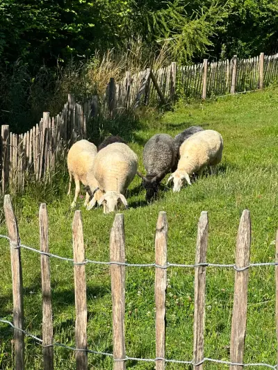 Hofstelle Oberbayern – photo 5