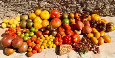 Secret Seeds Farm – Bild 4