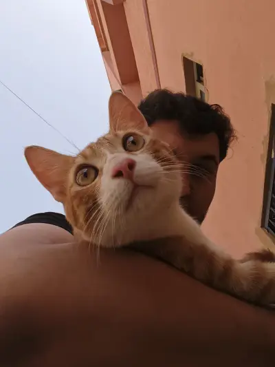 hhhhabdo3@gmail.com – Bild 3