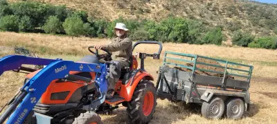 Finca Aufenthalt in Andalusien – Bild 8