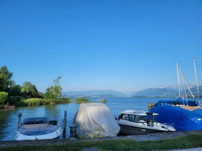 Beautiful lake house stay in Switzerland - We are looking for an experienced catsitter and allrounder help – Bild 9