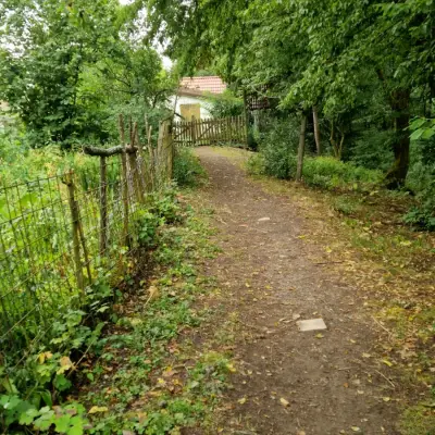Ferienhof im Wald – Bild 6