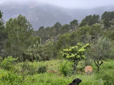 Finca in den Bergen der Costa Blanca – Bild 8