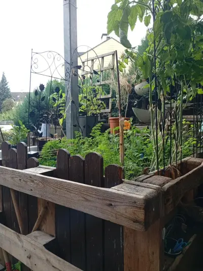 Handwerk, Garten & Tier Pflege 