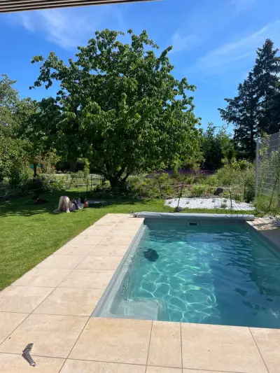 Light Gardening and dog Walks  – Bild 2